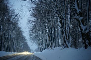 Skolebusser på Bornholm aflyses på grund af snevejr