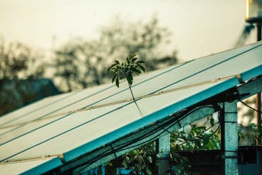 Gamle konflikter har konsekvenser for den grønne omstilling