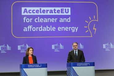 EU foreslår at give forbrugertilskud til grønne tiltag