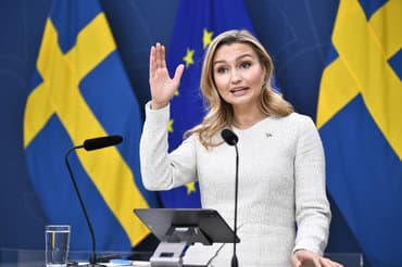 Sverige sætter elkabel til Danmark på pause efter EU-konflikt