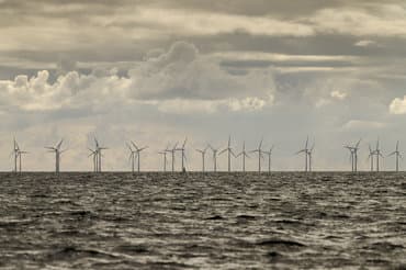 Klimarådet: Fire ud af fem danskere ser klimaforandringer som alvorlig trussel