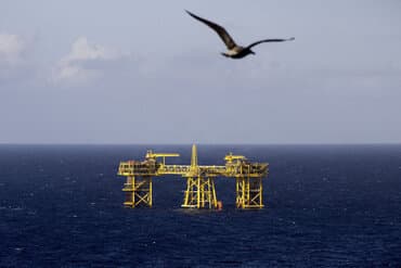 Greenpeace anlægger ny sag for at stoppe Hejre-feltet