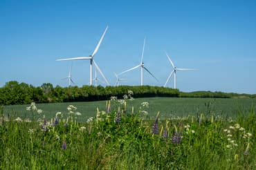 Forsyningstilsynet afslutter tilsynssag om Energinets producentbetaling