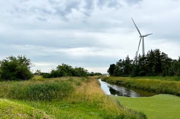 Ny rapport: Kommunerne vil mere med klimaet, men bremses af barrierer