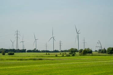 Dansk Erhverv: Farvel til vindmølleloft fjerner usikkerhed om udbygningen